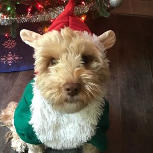 Meet your Posher, Erik